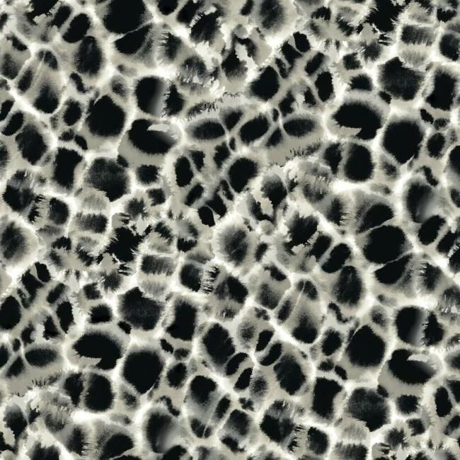 media image for Leopard Rosettes Wallpaper in Black and Off-White from the Traveler Collection by Ronald Redding 298