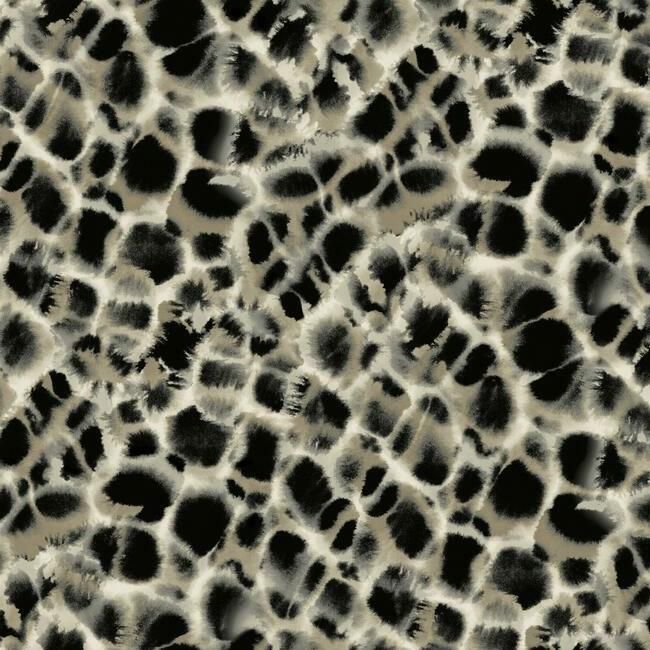 media image for Leopard Rosettes Wallpaper in Black from the Traveler Collection by Ronald Redding 263