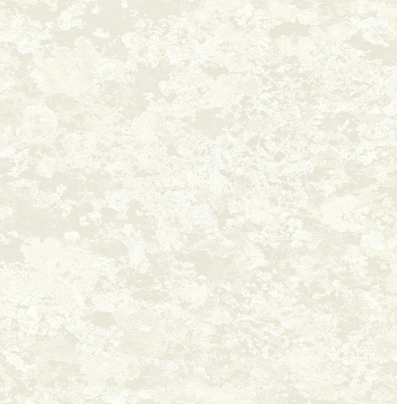 media image for Lichen Wallpaper in Silver and Cream from the Transition Collection by Mayflower 295
