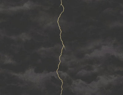 product image of Lightning Wallpaper in Gunmetal, Silver, and Black from the Aerial Collection by Mayflower  57