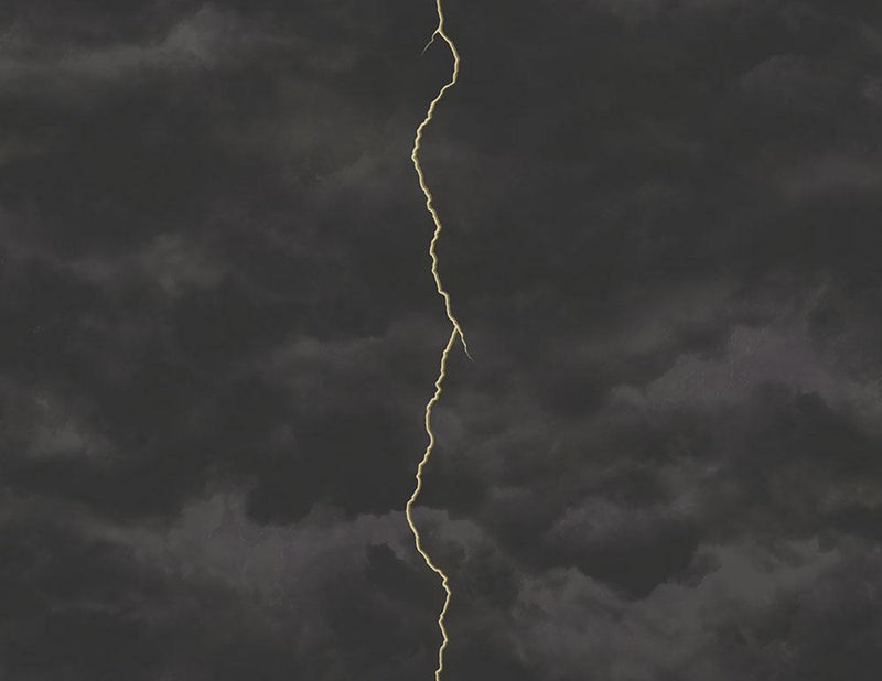 media image for Lightning Wallpaper in Gunmetal, Silver, and Black from the Aerial Collection by Mayflower  258