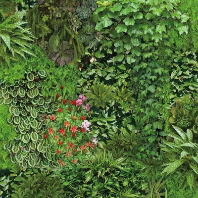 product image for Living Wall Peel & Stick Wallpaper in Green and Black by RoomMates for York Wallcoverings 89