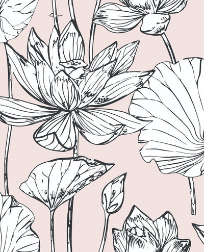 product image of sample lotus floral peel and stick wallpaper in blush and ebony by nextwall 1 546