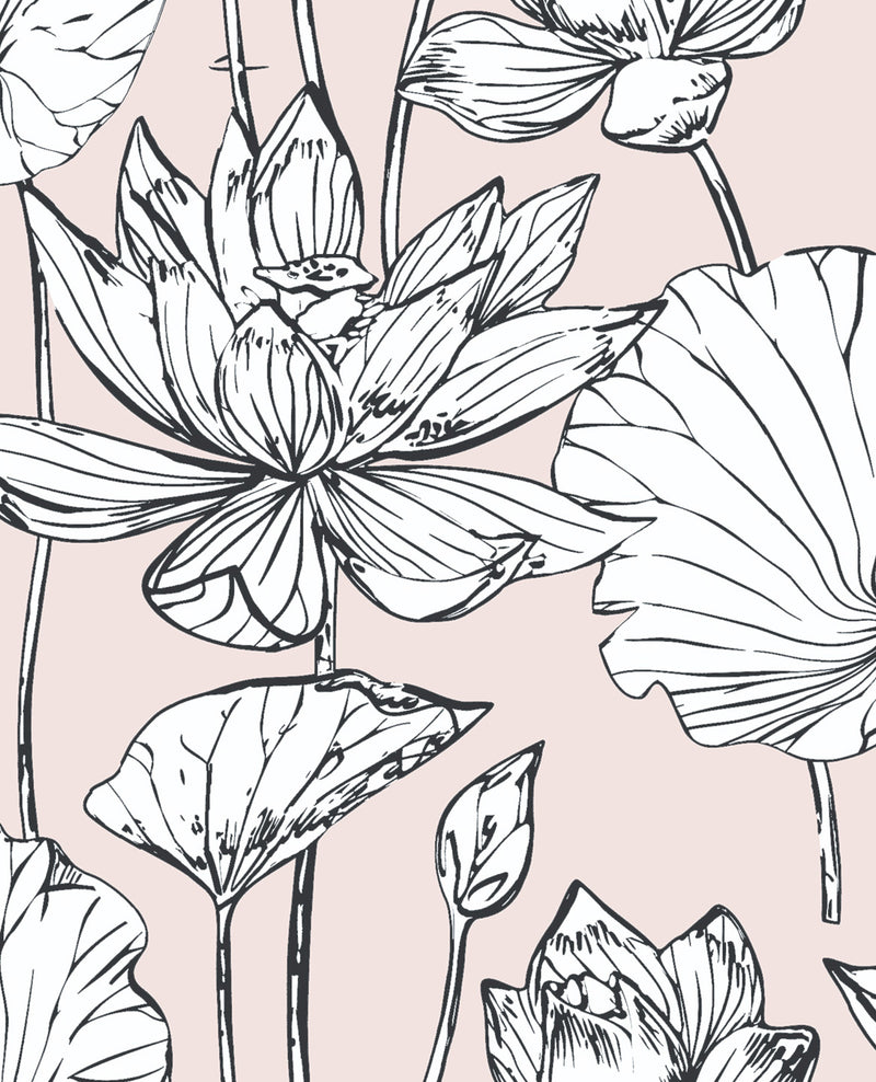 media image for sample lotus floral peel and stick wallpaper in blush and ebony by nextwall 1 274