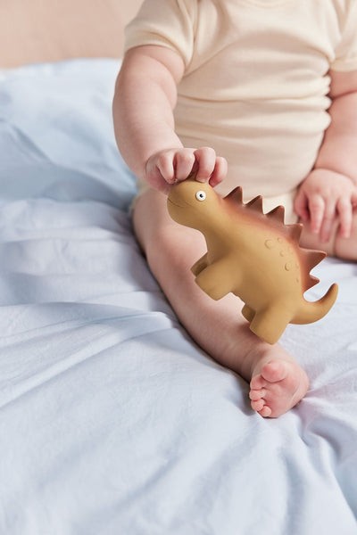product image for Billy Dino Teether 4 18