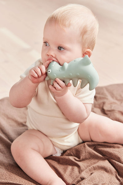 product image for Theo Dino Teether 3 26