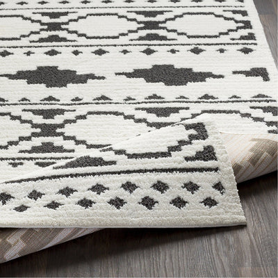 product image for Moroccan Shag MCS-2305 Rug in Black & White by Surya 5