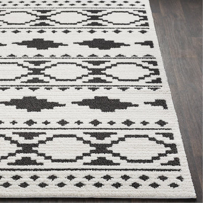 product image for Moroccan Shag MCS-2305 Rug in Black & White by Surya 37