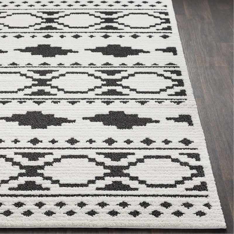 media image for Moroccan Shag MCS-2305 Rug in Black & White by Surya 29