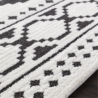 product image for Moroccan Shag MCS-2305 Rug in Black & White by Surya 30