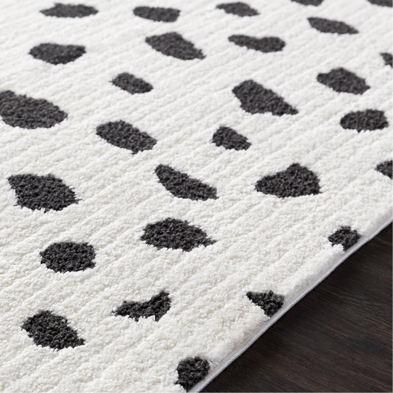 media image for Moroccan Shag MCS-2307 Rug in Black & White by Surya 20