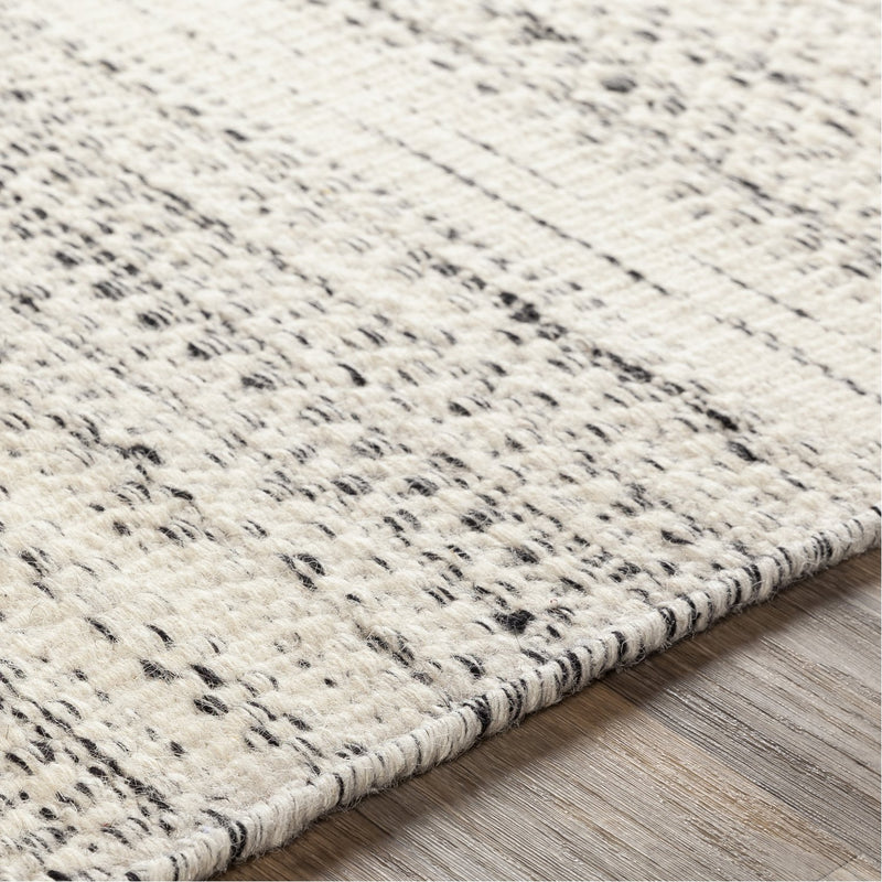 media image for Mardin MDI-2300 Hand Woven Rug in Cream & Black by Surya 227