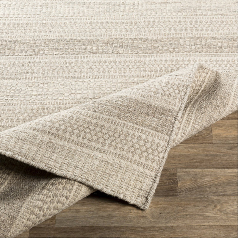 media image for Mardin MDI-2302 Hand Woven Rug in Cream & Taupe by Surya 277