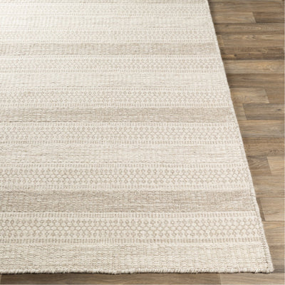 product image for Mardin MDI-2302 Hand Woven Rug in Cream & Taupe by Surya 68
