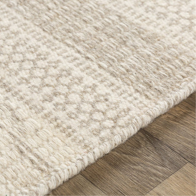 product image for Mardin MDI-2302 Hand Woven Rug in Cream & Taupe by Surya 46