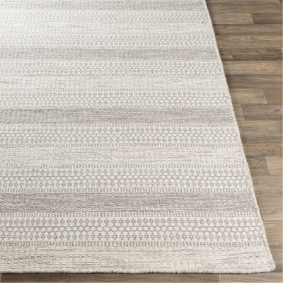 product image for Mardin MDI-2303 Hand Woven Rug in Cream & Taupe by Surya 96
