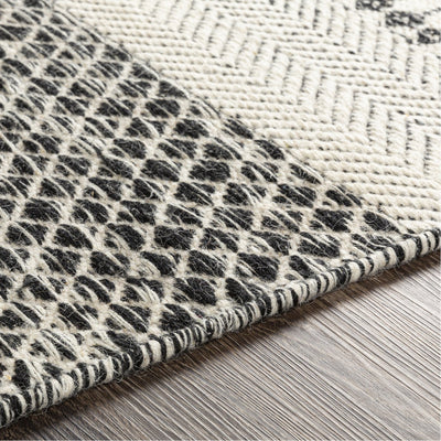product image for Mardin MDI-2306 Hand Woven Rug in Black & Beige by Surya 97
