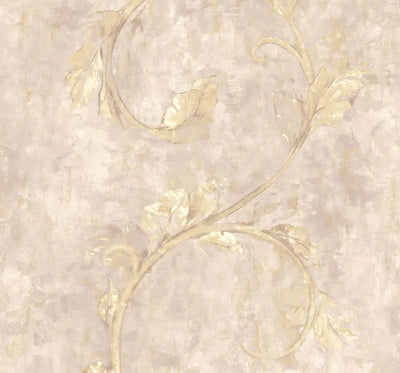 product image of Nemone Pink Wallpaper from the Jasper Collection by Mayflower 572