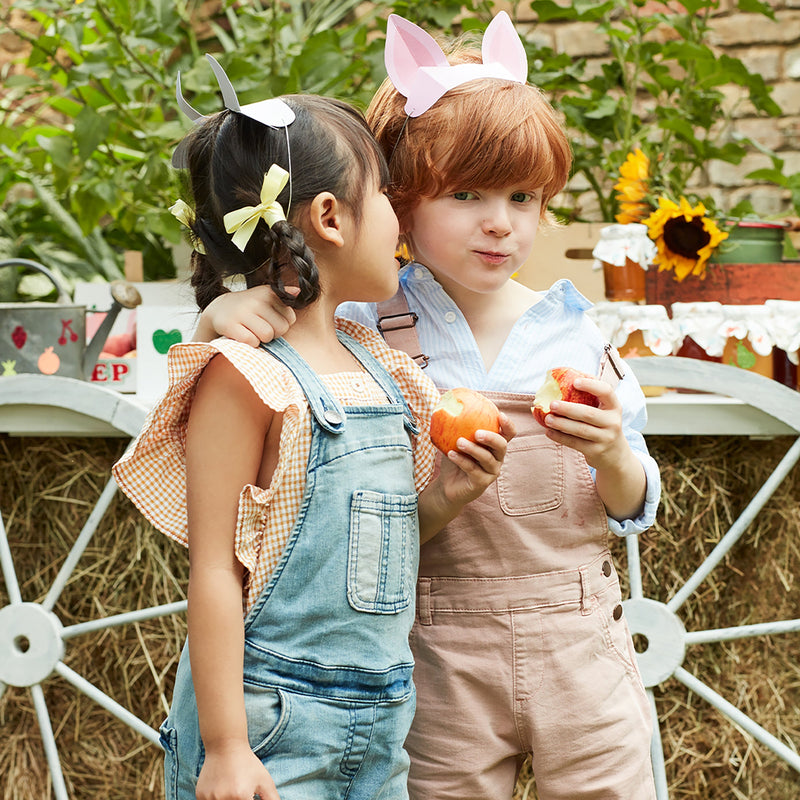 media image for on the farm partyware by meri meri mm 203375 22 220