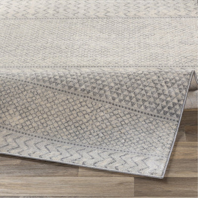 product image for Monaco MOC-2306 Rug in Silver Gray & Cream by Surya 21