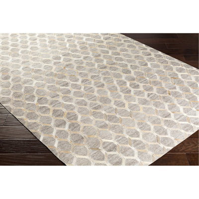product image for Medora MOD-1009 Hand Crafted Rug in Wheat & Taupe by Surya 57
