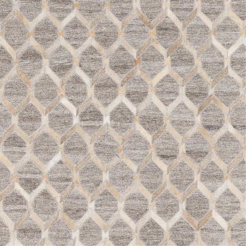 media image for Medora MOD-1009 Hand Crafted Rug in Wheat & Taupe by Surya 226