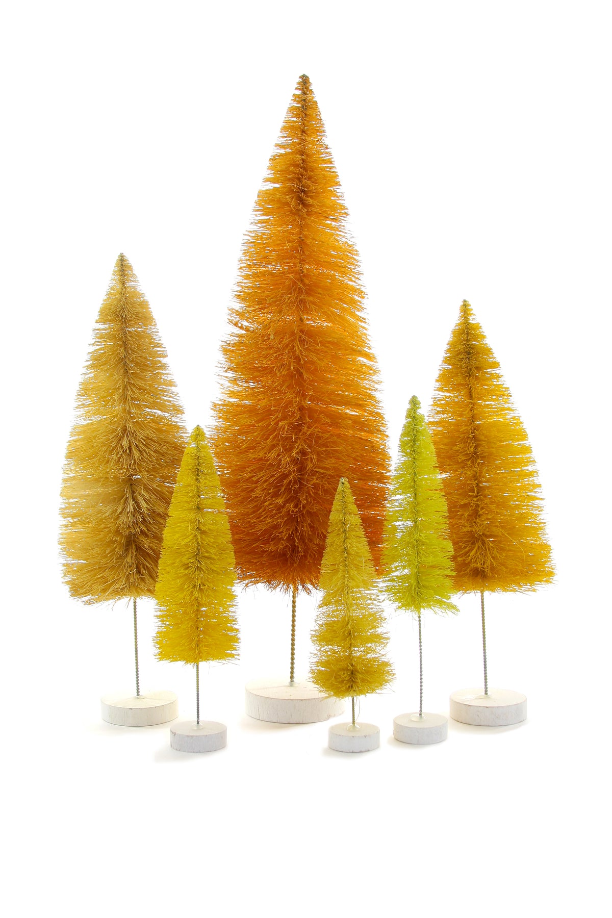 Shop Rainbow Trees Set of 6 in Various Colors | Burke Decor