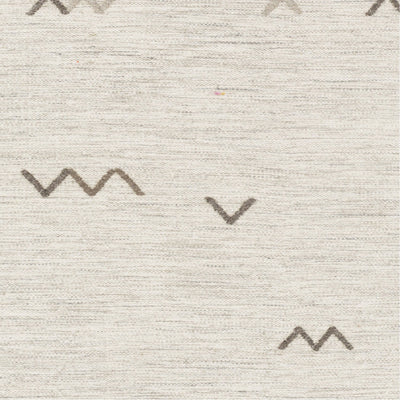 product image for Montezuma MTZ-2004 Hand Woven Rug in Ivory & Light Gray by Surya 26