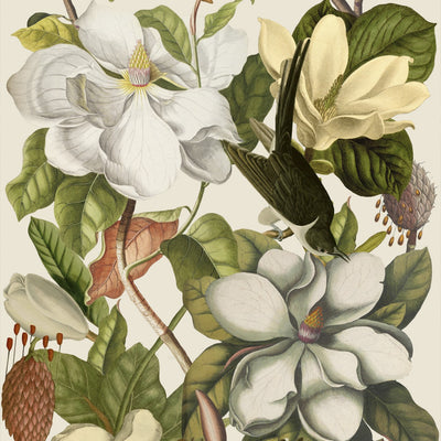 product image of sample magnolia taupe wallpaper from collection ii by mind the gap 1 557