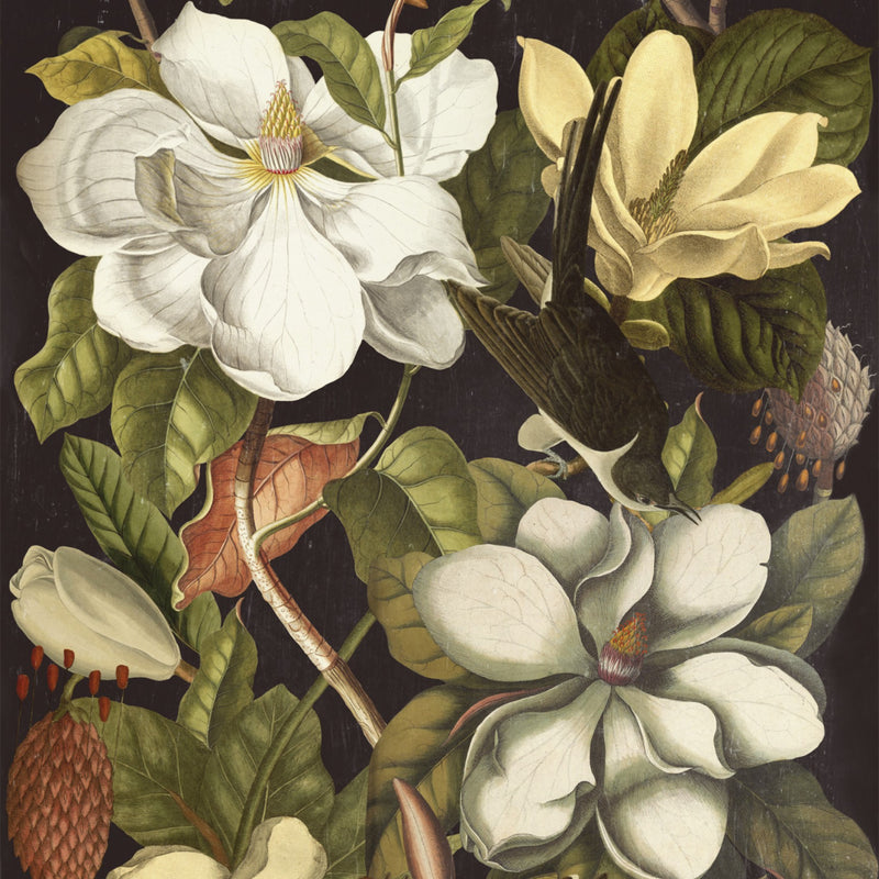 media image for sample magnolia wallpaper from collection ii by mind the gap 1 233