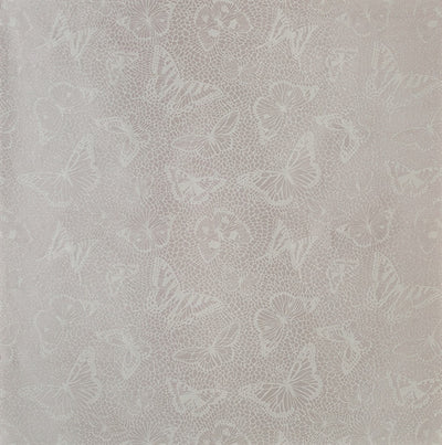 product image of Mariposa Fabric in Silver by Matthew Williamson for Osborne & Little 588