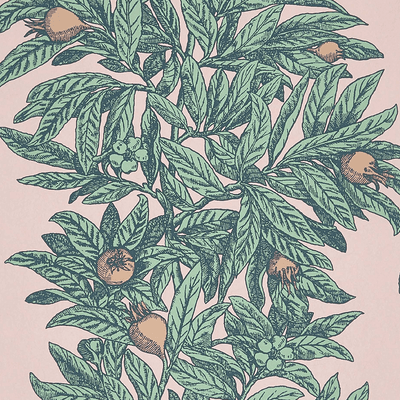 product image for Medlar Wallpaper in Blush and Mint from the Mansfield Park Collection by Osborne & Little 51