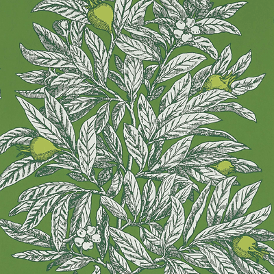product image of sample medlar wallpaper in garden green and lime from the mansfield park collection by osborne little 1 518