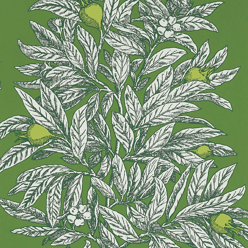 media image for Medlar Wallpaper in Garden Green and Lime from the Mansfield Park Collection by Osborne & Little 253