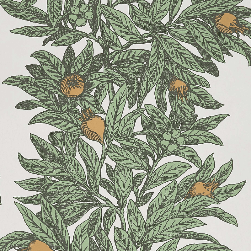 media image for sample medlar wallpaper in sage and amber from the mansfield park collection by osborne little 1 263