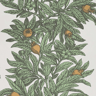 product image of Medlar Wallpaper in Sage and Amber from the Mansfield Park Collection by Osborne & Little 596