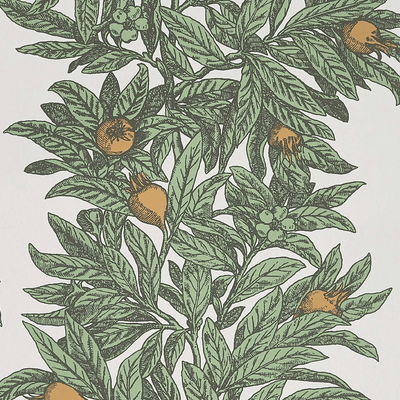 product image of Medlar Wallpaper in Sage and Amber from the Mansfield Park Collection by Osborne & Little 565