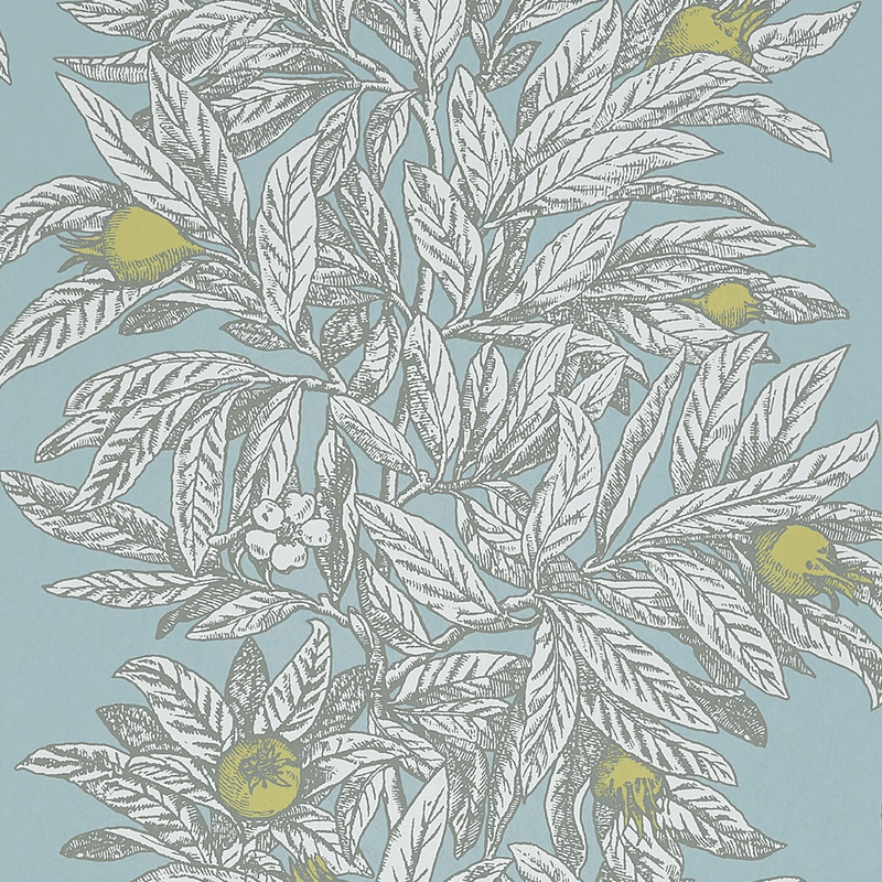 media image for Medlar Wallpaper in Sky and Chartreuse from the Mansfield Park Collection by Osborne & Little 224