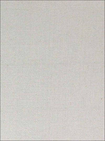 product image of Metallic Weave Wallpaper in Platinum from the Sheer Intuition Collection by Burke Decor 553