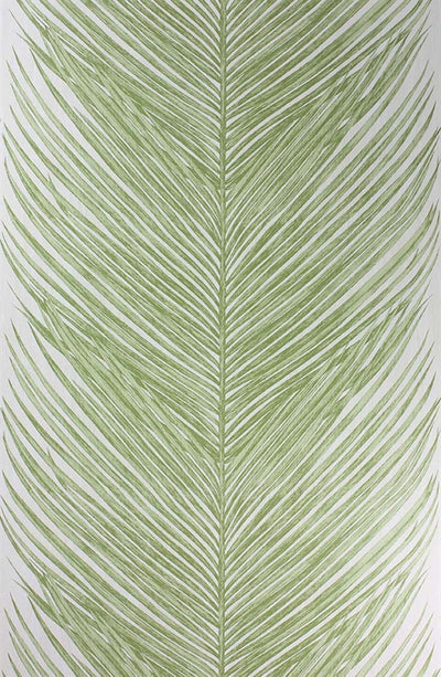 product image for Mey Fern Wallpaper in Green by Nina Campbell for Osborne & Little 28