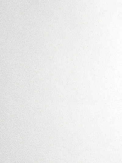product image for Mica Texture Wallpaper in Pearl and Champagne from the Essential Textures Collection by Seabrook Wallcoverings 29