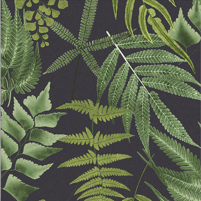 product image of Midsummer Wallpaper in Black from the Exclusives Collection by Graham & Brown 543