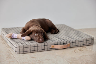 product image for milo grid dog cushion 14 24