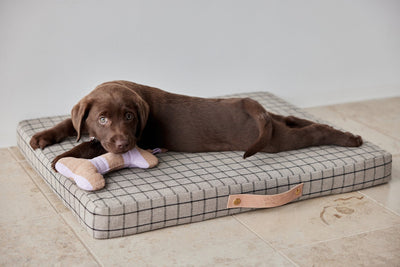 product image for milo grid dog cushion 12 29