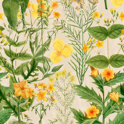 product image of Mimulus Wallpaper in Green, Taupe, and Yellow from the Florilegium Collection by Mind the Gap 548