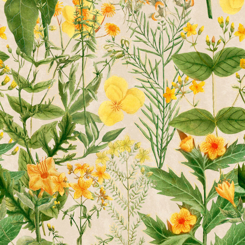 media image for Mimulus Wallpaper in Green, Taupe, and Yellow from the Florilegium Collection by Mind the Gap 252