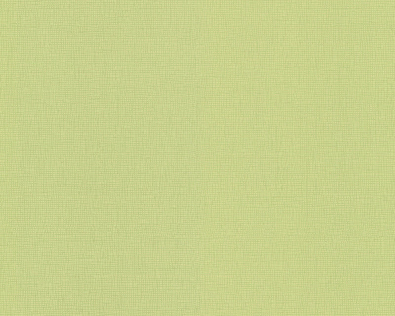 media image for Modern Solids Wallpaper in Green design by BD Wall 274
