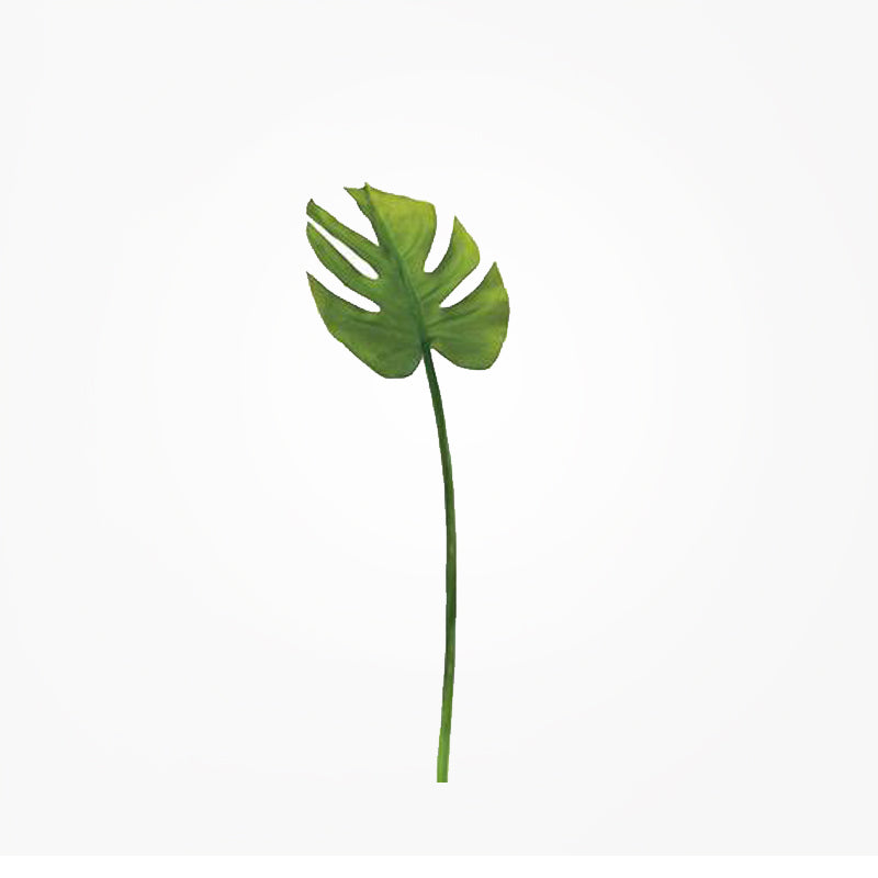 media image for monstera leaf 23 stem design by torre tagus 1 298