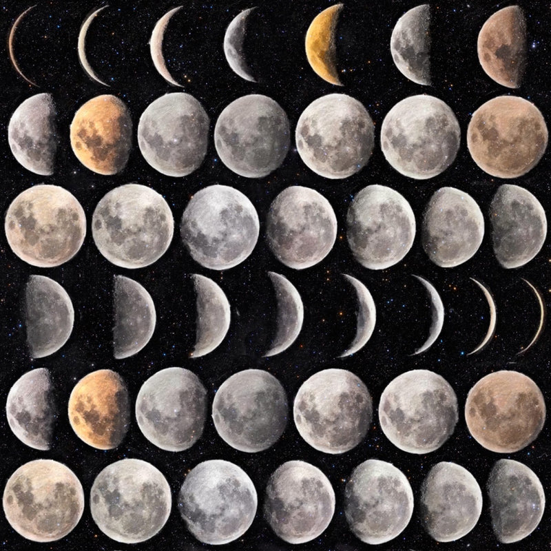 media image for Moon Phases Wallpaper in Black and Grey from the Eclectic Collection by Mind the Gap 270