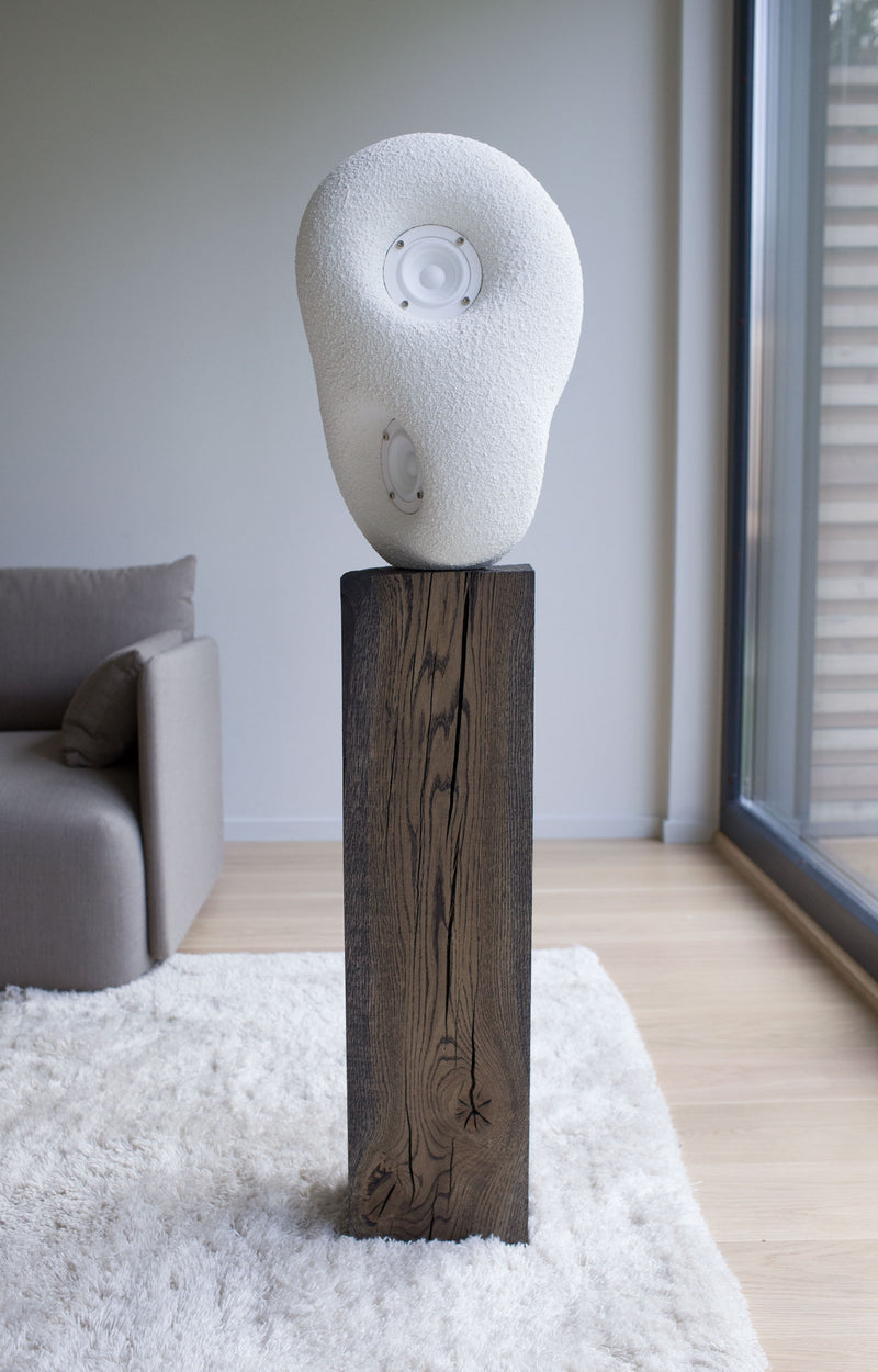media image for acoustic sculpture speaker by transparent 4 213